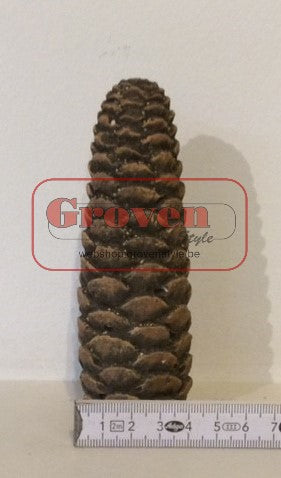Keramische dennenappel voor gashaard NR 03 Pomme de pin en céramique pour un foyer à gaz